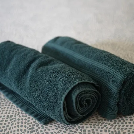 Le Duplex - Disneyland - Parking - Rooftop - Wifi Apartment Montévrain